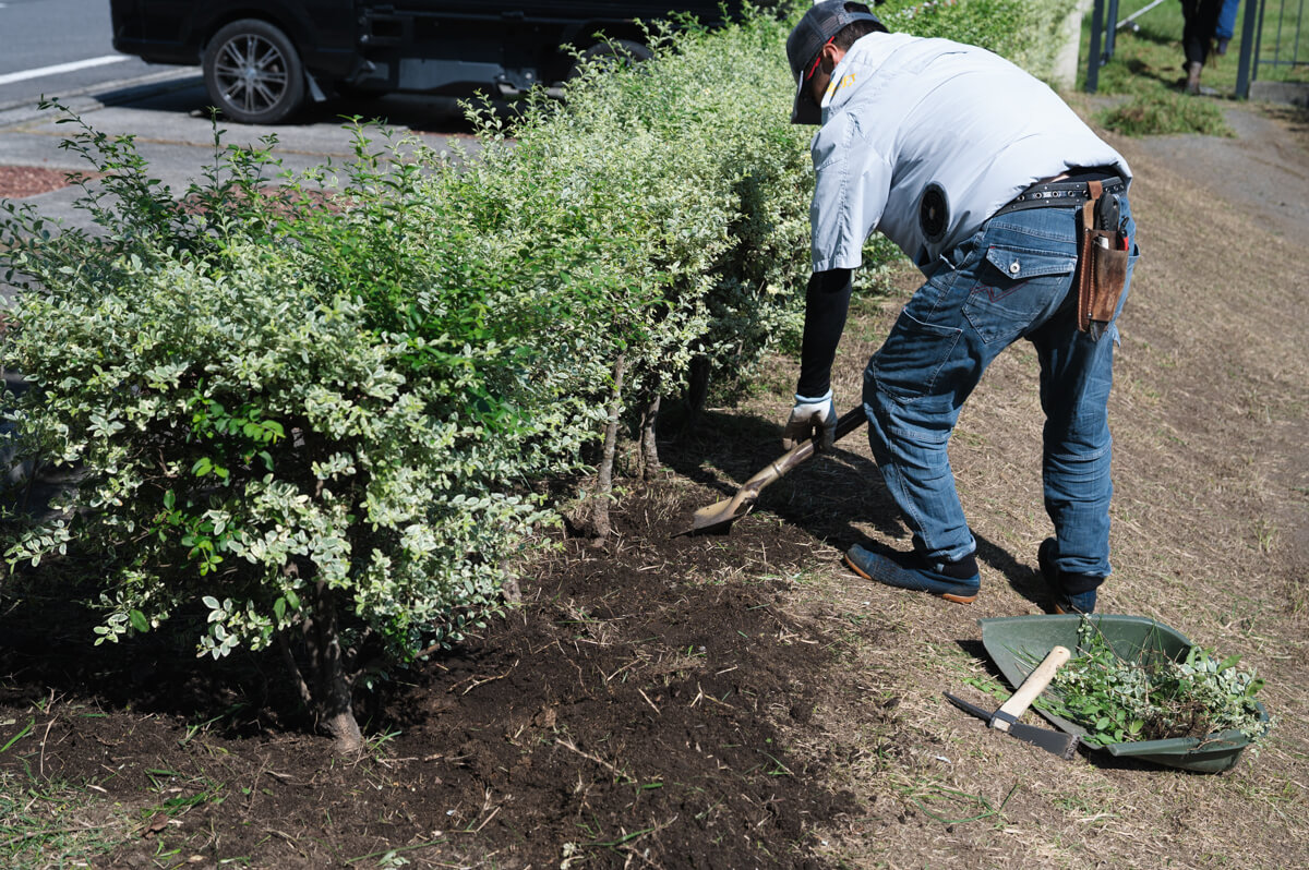 保育園の天然芝から人工芝への入れ替え工事の写真