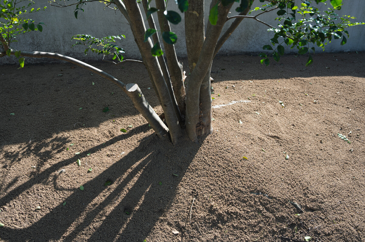 保育園の天然芝から人工芝への入れ替え工事の写真