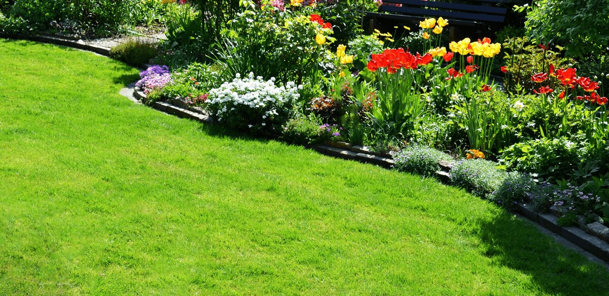 人工芝が叶える理想のファミリーガーデン