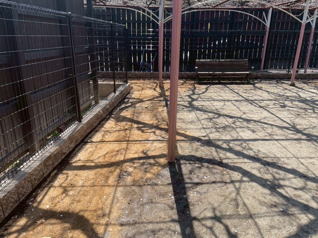 血の池地獄様　ドッグランの画像