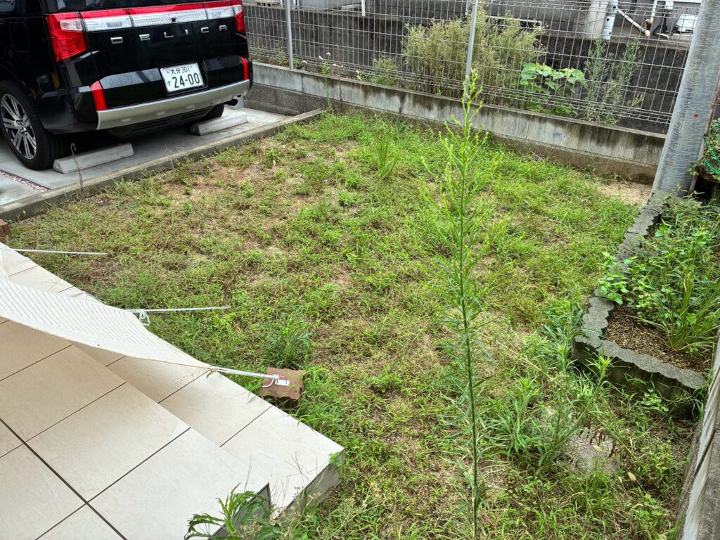 大分市M様邸の画像
